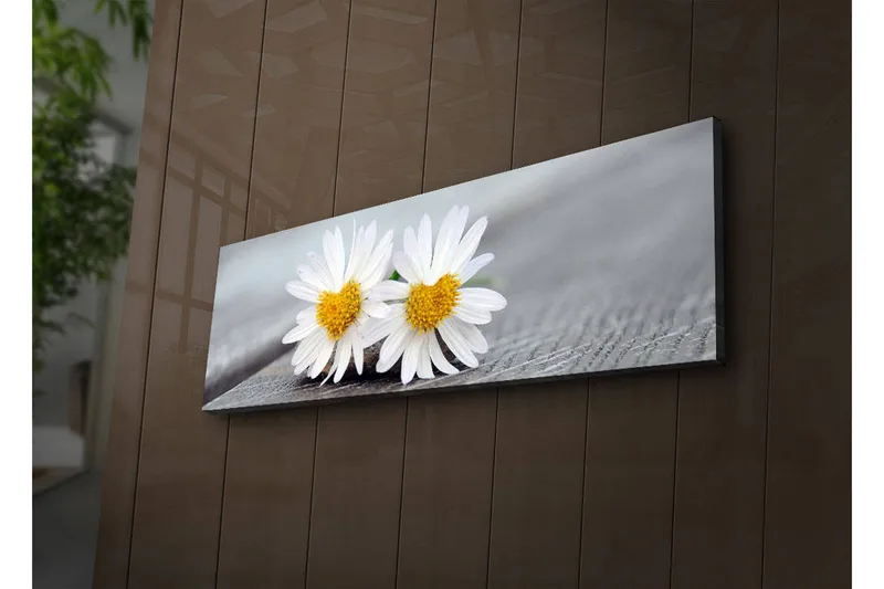 Canvastavla med LED-belysning 30x90 cm - Två vita prästkragar med gula mittar, Vit / Gul