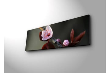 Canvastavla med LED-belysning 30x90 cm - Vacker blomma med rosa kronblad och mörkgröna blad - Rosa / Mörkgrön - Inredning - Tavlor & posters - Canvastavla