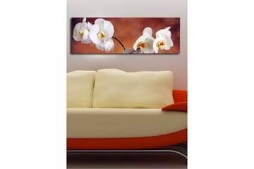 Canvastavla med LED-belysning 30x90 cm - Vackra vita orkidéer i en harmonisk komposition - Vit / Beige / Gul - Inredning - Tavlor & posters - Canvastavla