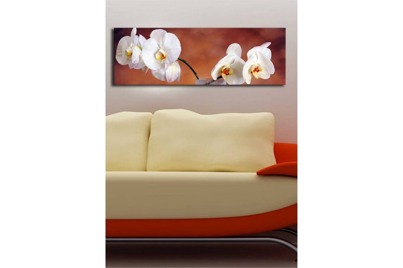 Canvastavla med LED-belysning 30x90 cm - Vackra vita orkidéer i en harmonisk komposition - Vit / Beige / Gul - Inredning - Tavlor & posters - Canvastavla