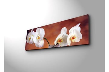 Canvastavla med LED-belysning 30x90 cm - Vackra vita orkidéer i en harmonisk komposition - Vit / Beige / Gul - Inredning - Tavlor & posters - Canvastavla