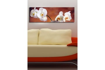 Canvastavla med LED-belysning 30x90 cm - Vackra vita orkidéer i en harmonisk komposition - Vit / Beige / Gul - Inredning - Tavlor & posters - Canvastavla