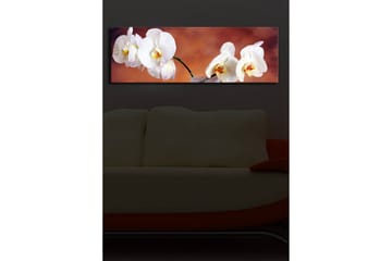 Canvastavla med LED-belysning 30x90 cm - Vackra vita orkidéer i en harmonisk komposition - Vit / Beige / Gul - Inredning - Tavlor & posters - Canvastavla