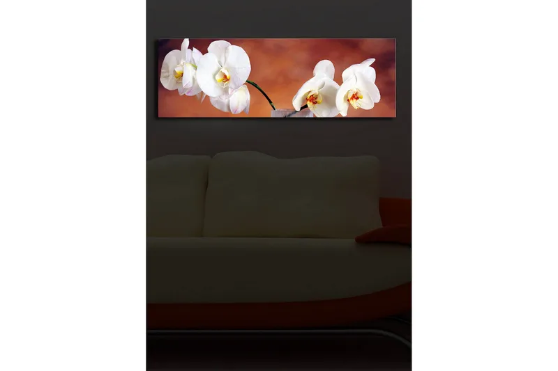 Canvastavla med LED-belysning 30x90 cm - Vackra vita orkidéer i en harmonisk komposition - Vit / Beige / Gul - Inredning - Tavlor & posters - Canvastavla