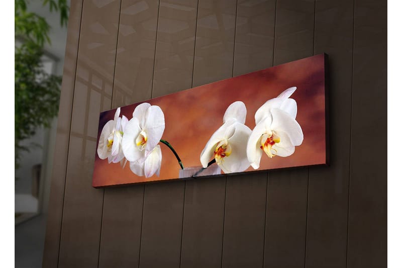 Canvastavla med LED-belysning 30x90 cm - Vackra vita orkidéer i en harmonisk komposition - Vit / Beige / Gul - Inredning - Tavlor & posters - Canvastavla