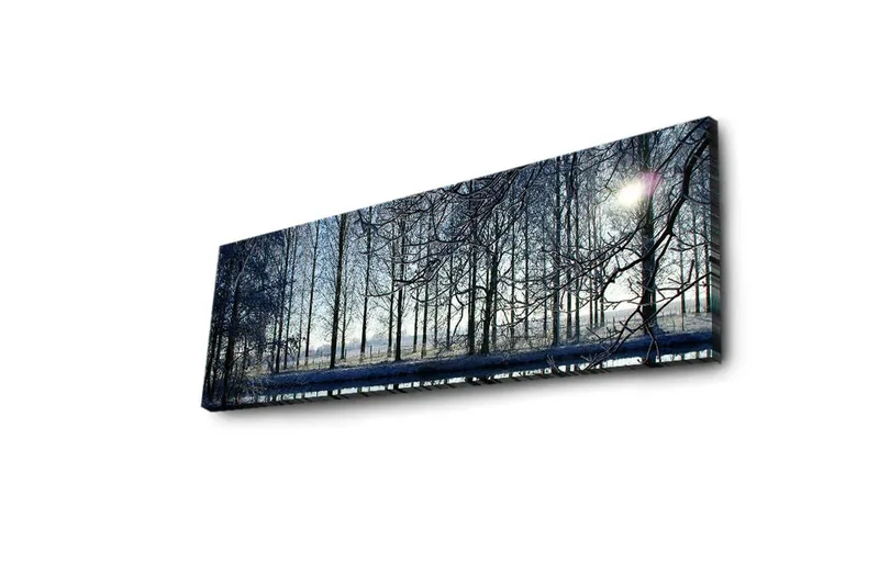 Canvastavla med LED-belysning 30x90 cm - Vinterlandskap med snöklädda träd och en svag solstråle - Blå / Vit / Grå - Inredning - Tavlor & posters - Canvastavla
