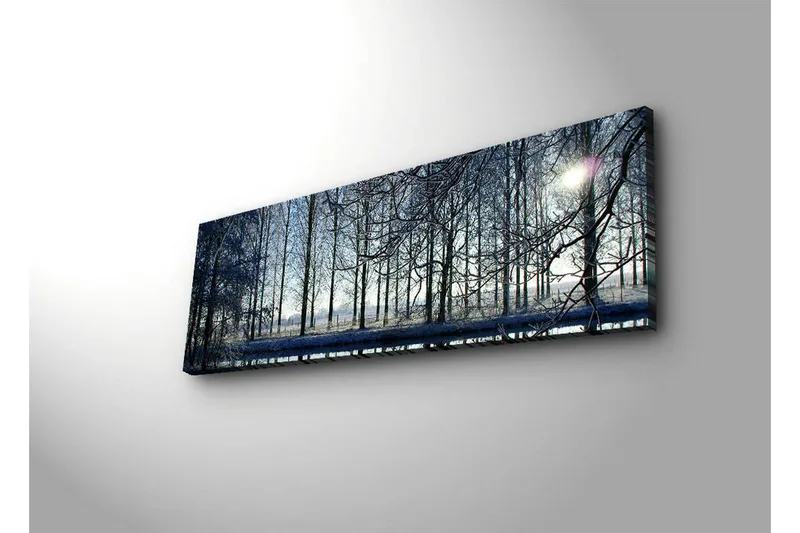 Canvastavla med LED-belysning 30x90 cm - Vinterlandskap med snöklädda träd och en svag solstråle - Blå / Vit / Grå - Inredning - Tavlor & posters - Canvastavla