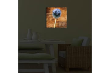 Canvastavla med LED-belysning 40x40 cm - Blomma med blåa spetsiga kronblad på en varm bakgrund - Blå / Brun - Inredning - Tavlor & posters - Canvastavla