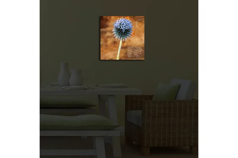 Canvastavla med LED-belysning 40x40 cm - Blomma med blåa spetsiga kronblad på en varm bakgrund - Blå / Brun - Inredning - Tavlor & posters - Canvastavla