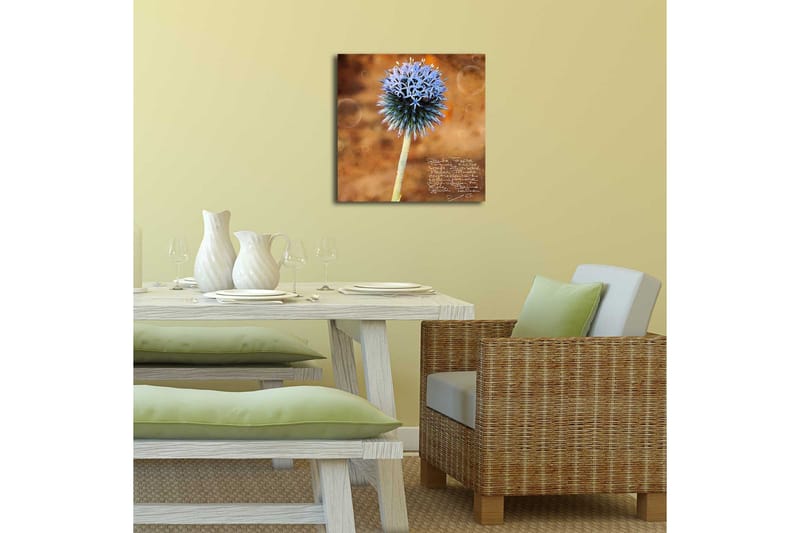 Canvastavla med LED-belysning 40x40 cm - Blomma med blåa spetsiga kronblad på en varm bakgrund - Blå / Brun - Inredning - Tavlor & posters - Canvastavla