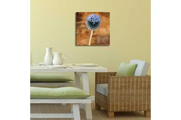 Canvastavla med LED-belysning 40x40 cm - Blomma med blåa spetsiga kronblad på en varm bakgrund - Blå / Brun - Inredning - Tavlor & posters - Canvastavla