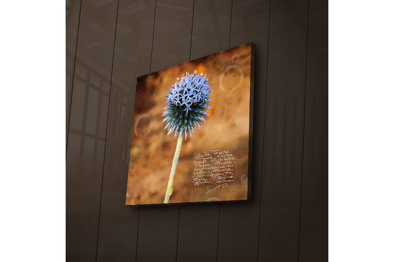 Canvastavla med LED-belysning 40x40 cm - Blomma med blåa spetsiga kronblad på en varm bakgrund - Blå / Brun - Inredning - Tavlor & posters - Canvastavla