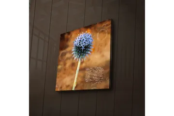 Canvastavla med LED-belysning 40x40 cm - Blomma med blåa spetsiga kronblad på en varm bakgrund - Blå / Brun - Inredning - Tavlor & posters - Canvastavla