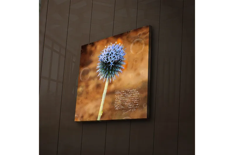 Canvastavla med LED-belysning 40x40 cm - Blomma med blåa spetsiga kronblad på en varm bakgrund - Blå / Brun - Inredning - Tavlor & posters - Canvastavla