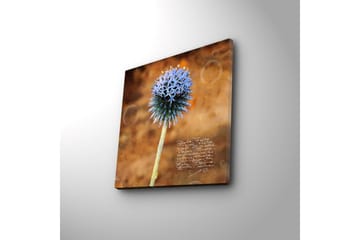 Canvastavla med LED-belysning 40x40 cm - Blomma med blåa spetsiga kronblad på en varm bakgrund - Blå / Brun - Inredning - Tavlor & posters - Canvastavla