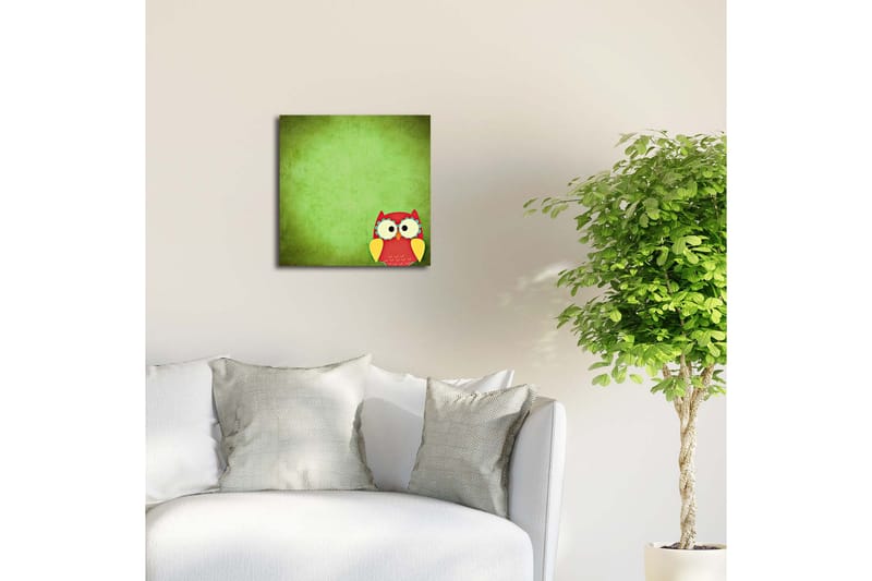 Canvastavla med LED-belysning 40x40 cm - Färgglad uggla på en grön bakgrund - Grön / Röd / Gul - Inredning - Tavlor & posters - Canvastavla