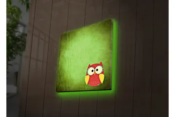 Canvastavla med LED-belysning 40x40 cm - Färgglad uggla på en grön bakgrund - Grön / Röd / Gul - Inredning - Tavlor & posters - Canvastavla