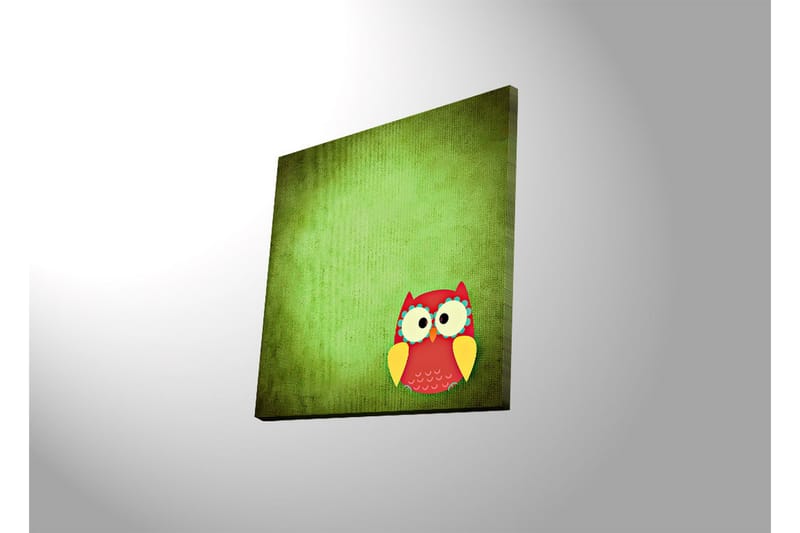 Canvastavla med LED-belysning 40x40 cm - Färgglad uggla på en grön bakgrund - Grön / Röd / Gul - Inredning - Tavlor & posters - Canvastavla