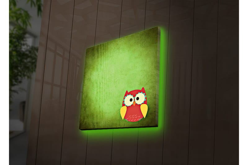 Canvastavla med LED-belysning 40x40 cm - Färgglad uggla på en grön bakgrund - Grön / Röd / Gul - Inredning - Tavlor & posters - Canvastavla