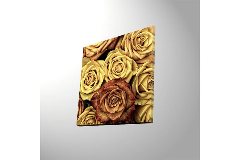 Canvastavla med LED-belysning 40x40 cm - Färgrik samling av rosor i olika nyanser - Guld / Brun / Röd - Inredning - Tavlor & posters - Canvastavla