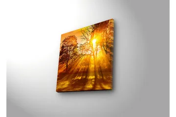 Canvastavla med LED-belysning 40x40 cm - Gyllene höstlandskap med solstrålar som strålar genom träden - Guld / Orange / Brun - Inredning - Tavlor & posters - Canvastavla
