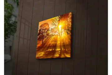 Canvastavla med LED-belysning 40x40 cm - Gyllene höstlandskap med solstrålar som strålar genom träden - Guld / Orange / Brun - Inredning - Tavlor & posters - Canvastavla