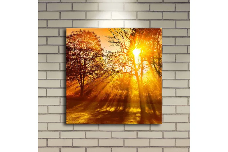 Canvastavla med LED-belysning 40x40 cm - Gyllene höstlandskap med solstrålar som strålar genom träden - Guld / Orange / Brun - Inredning - Tavlor & posters - Canvastavla