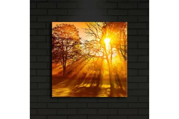 Canvastavla med LED-belysning 40x40 cm - Gyllene höstlandskap med solstrålar som strålar genom träden - Guld / Orange / Brun - Inredning - Tavlor & posters - Canvastavla