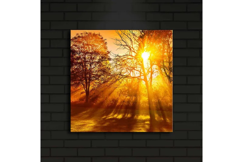 Canvastavla med LED-belysning 40x40 cm - Gyllene höstlandskap med solstrålar som strålar genom träden - Guld / Orange / Brun - Inredning - Tavlor & posters - Canvastavla