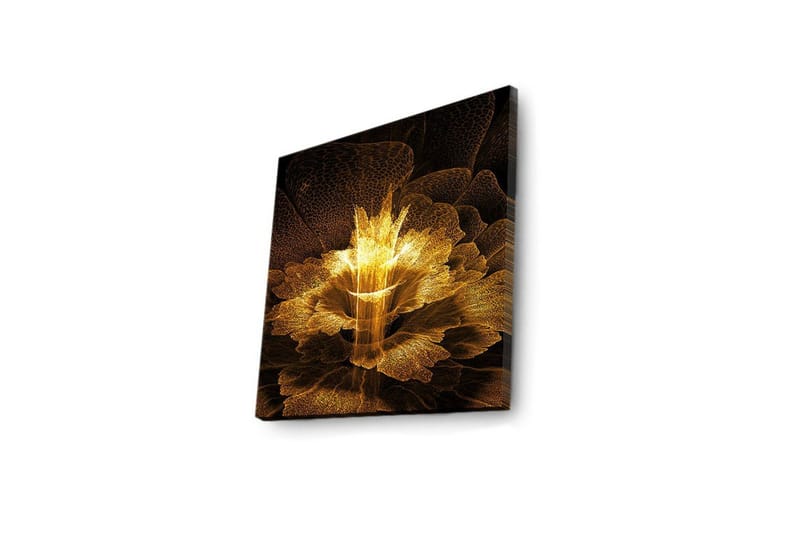Canvastavla med LED-belysning 40x40 cm - Ljusstrålande blomma i abstrakt stil - Guld / Svart / Brun - Inredning - Tavlor & posters - Canvastavla