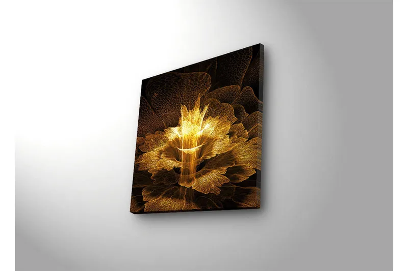 Canvastavla med LED-belysning 40x40 cm - Ljusstrålande blomma i abstrakt stil - Guld / Svart / Brun - Inredning - Tavlor & posters - Canvastavla