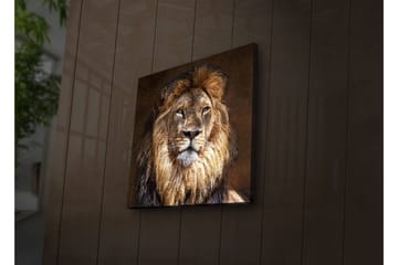 Canvastavla med LED-belysning 40x40 cm - Majestätisk lejonhuvud med detaljerad man och uttrycksfulla ögon - Guld / Brun / Beige - Inredning - Tavlor & posters - Canvastavla