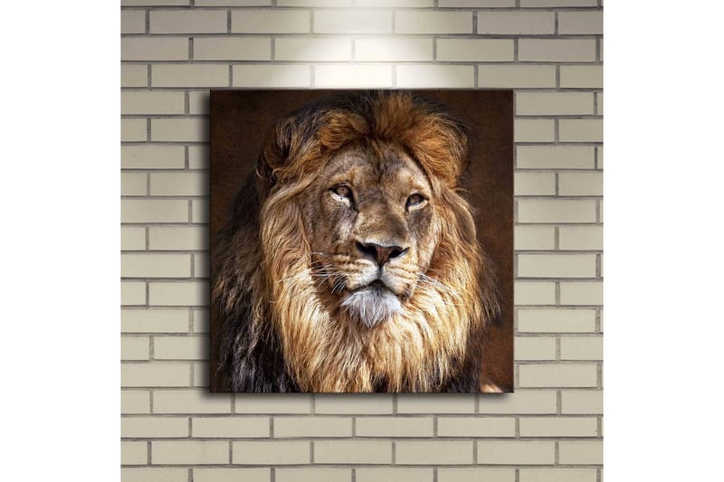 Canvastavla med LED-belysning 40x40 cm - Majestätisk lejonhuvud med detaljerad man och uttrycksfulla ögon - Guld / Brun / Beige - Inredning - Tavlor & posters - Canvastavla