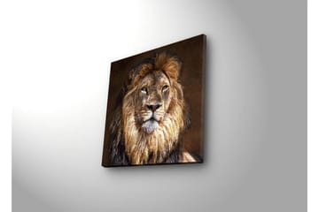 Canvastavla med LED-belysning 40x40 cm - Majestätisk lejonhuvud med detaljerad man och uttrycksfulla ögon - Guld / Brun / Beige - Inredning - Tavlor & posters - Canvastavla