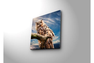 Canvastavla med LED-belysning 40x40 cm - Uggla på en gren med dramatisk himmel i bakgrunden - Brun / Blå / Vit - Inredning - Tavlor & posters - Canvastavla
