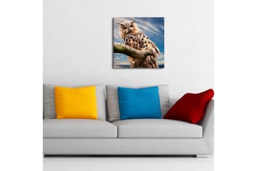 Canvastavla med LED-belysning 40x40 cm - Uggla på en gren med dramatisk himmel i bakgrunden - Brun / Blå / Vit - Inredning - Tavlor & posters - Canvastavla