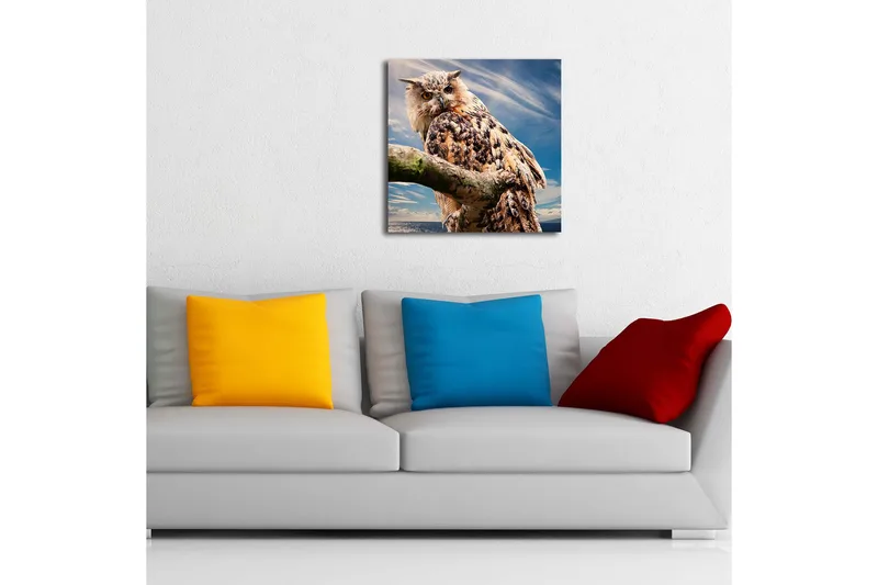Canvastavla med LED-belysning 40x40 cm - Uggla på en gren med dramatisk himmel i bakgrunden - Brun / Blå / Vit - Inredning - Tavlor & posters - Canvastavla