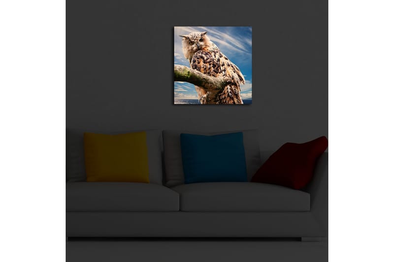 Canvastavla med LED-belysning 40x40 cm - Uggla på en gren med dramatisk himmel i bakgrunden - Brun / Blå / Vit - Inredning - Tavlor & posters - Canvastavla