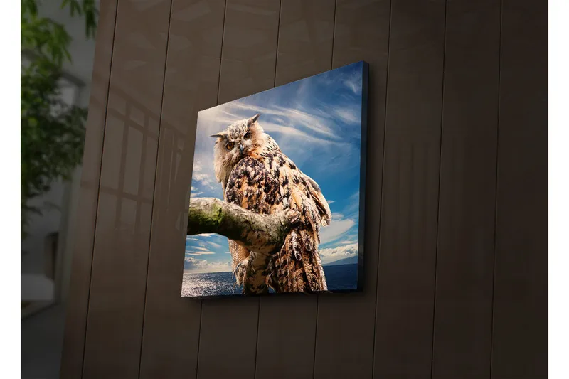 Canvastavla med LED-belysning 40x40 cm - Uggla på en gren med dramatisk himmel i bakgrunden - Brun / Blå / Vit - Inredning - Tavlor & posters - Canvastavla