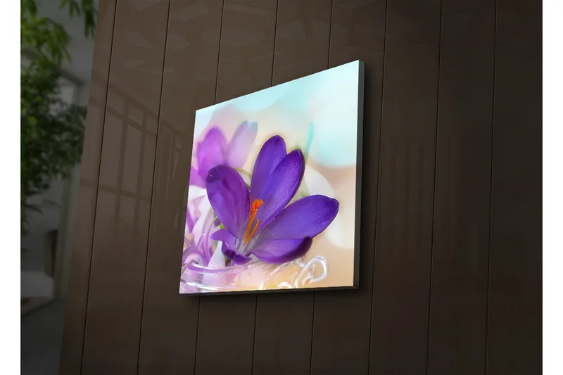 Canvastavla med LED-belysning 40x40 cm - Vacker krokusblomma i lila nyanser - Lila / Orange / Grön - Inredning - Tavlor & posters - Canvastavla