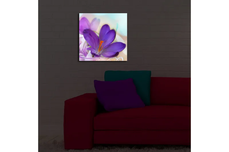 Canvastavla med LED-belysning 40x40 cm - Vacker krokusblomma i lila nyanser - Lila / Orange / Grön - Inredning - Tavlor & posters - Canvastavla