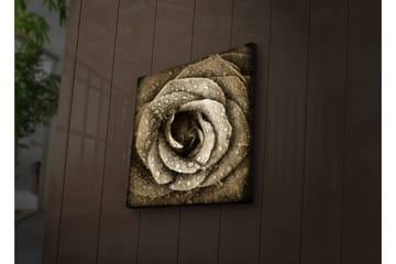 Canvastavla med LED-belysning 40x40 cm - Vacker ros med droppar av vatten - Beige / Brun / Grå - Inredning - Tavlor & posters - Canvastavla