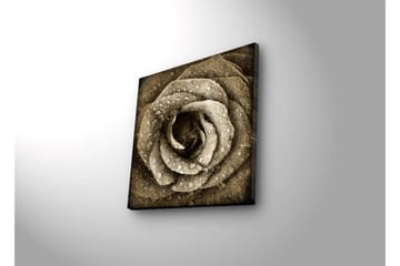 Canvastavla med LED-belysning 40x40 cm - Vacker ros med droppar av vatten - Beige / Brun / Grå - Inredning - Tavlor & posters - Canvastavla