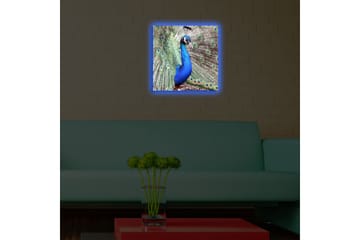 Canvastavla med LED-belysning 40x40 cm - Praktfull påfågel med utbrett stjärtfjäderdräkt - Blå / Grön / Brun - Inredning - Tavlor & posters - Canvastavla