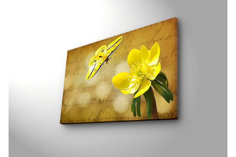 Canvastavla med LED-belysning 45x70 cm - Färgglad fjäril och blomma på en mjukt tonad bakgrund - Gul / Grön / Beige - Inredning - Tavlor & posters - Canvastavla