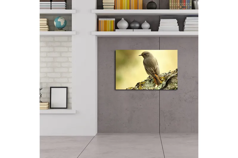 Canvastavla med LED-belysning 45x70 cm - Fågel som sitter på en sten med en mjuk bakgrund - Grå / Orange / Beige - Inredning - Tavlor & posters - Canvastavla
