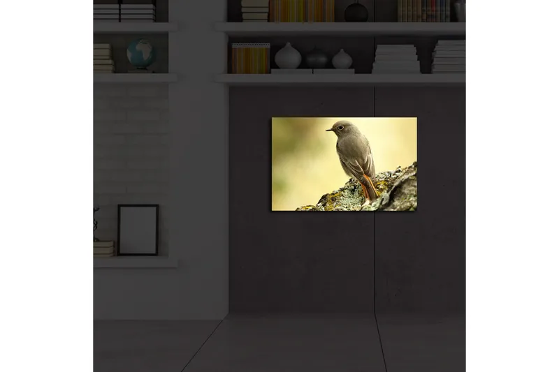 Canvastavla med LED-belysning 45x70 cm - Fågel som sitter på en sten med en mjuk bakgrund - Grå / Orange / Beige - Inredning - Tavlor & posters - Canvastavla