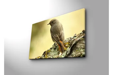 Canvastavla med LED-belysning 45x70 cm - Fågel som sitter på en sten med en mjuk bakgrund - Grå / Orange / Beige - Inredning - Tavlor & posters - Canvastavla