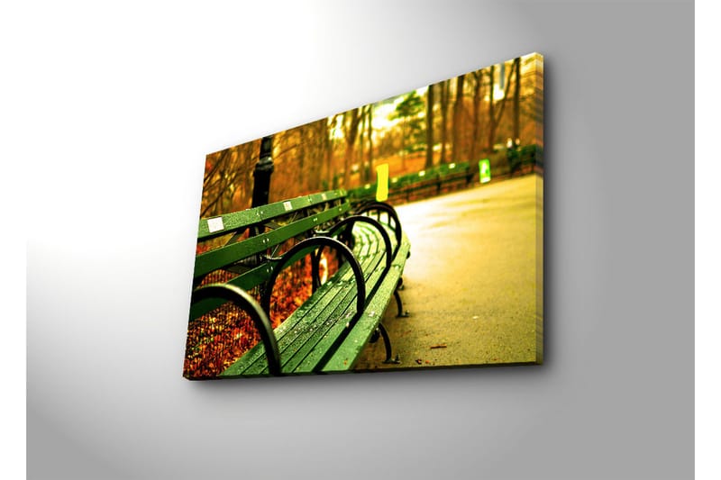 Canvastavla med LED-belysning 45x70 cm - Grön bänk i en höstig parkmiljö - Grön / Gul / Brun - Inredning - Tavlor & posters - Canvastavla