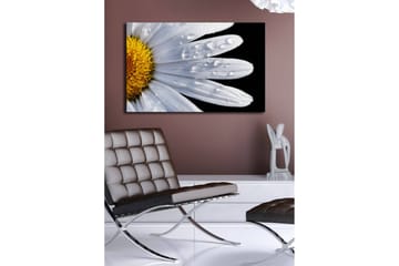 Canvastavla med LED-belysning 45x70 cm - Närbild av en prästkrage med droppar av vatten på bladen - Vit / Gul - Inredning - Tavlor & posters - Canvastavla